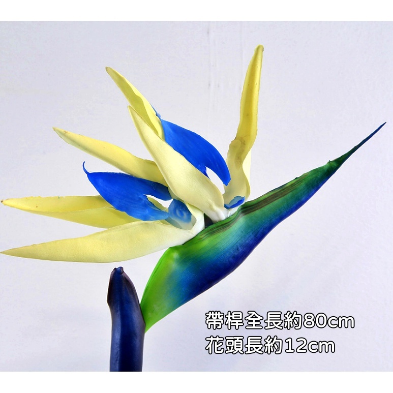 80cm仿真天堂鳥(藍色)