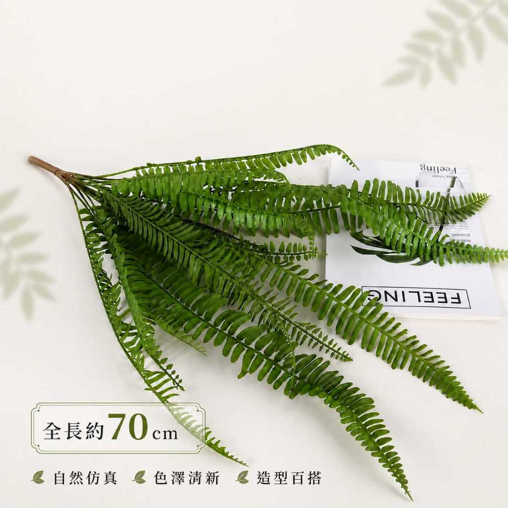 台灣現貨【仿真蕨草葉材】70至110cm仿真蕨草, 仿真蕨葉, 大蕨草, 大腎蕨, 波斯頓蕨, 軟膠蕨草, 70cm仿真