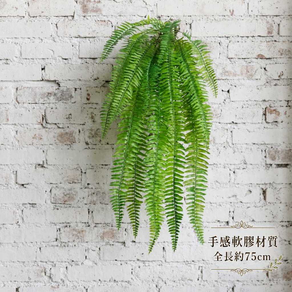 台灣現貨【仿真蕨草葉材】70至110cm仿真蕨草, 仿真蕨葉, 大蕨草, 大腎蕨, 波斯頓蕨, 軟膠蕨草, 70cm仿真