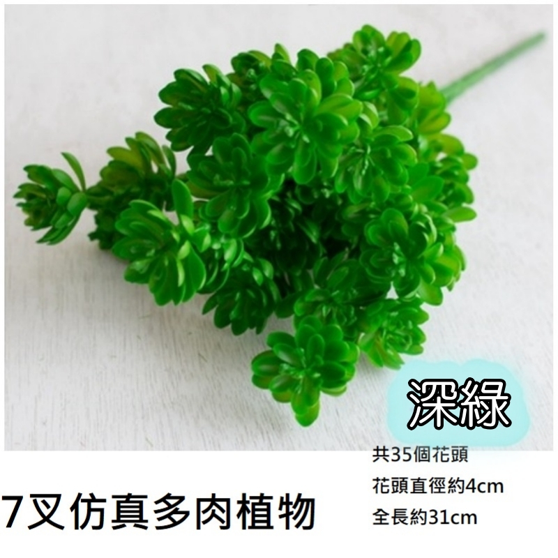 7叉多肉植物(深綠)