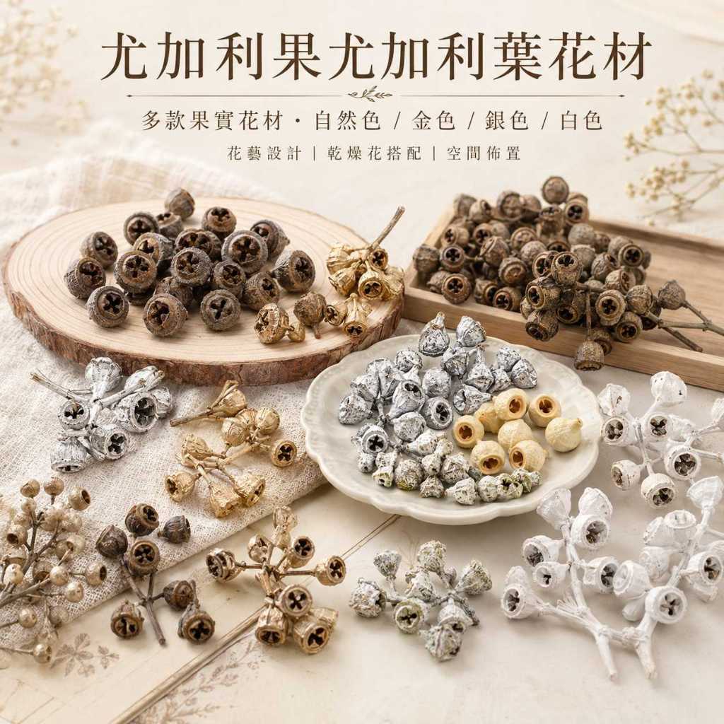 台灣現貨【尤加利果尤加利葉花材】尤加利果, 尤加利葉, 藍桉果, 琥珀果, 鈴鐺果, 小米果, 細葉桉果, 尖葉尤加