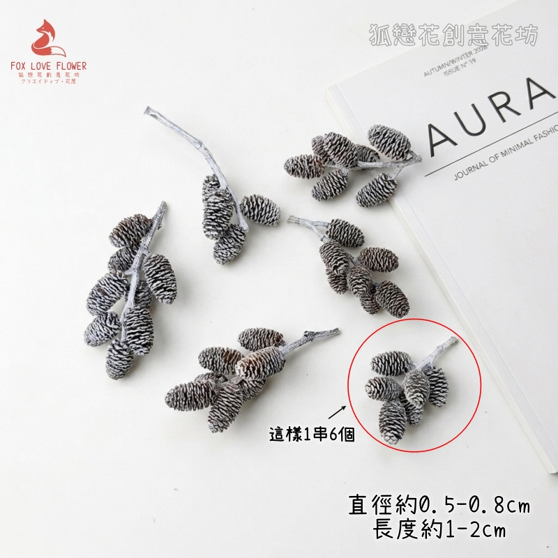 ❰雪色❱連枝小水楊子(20個)