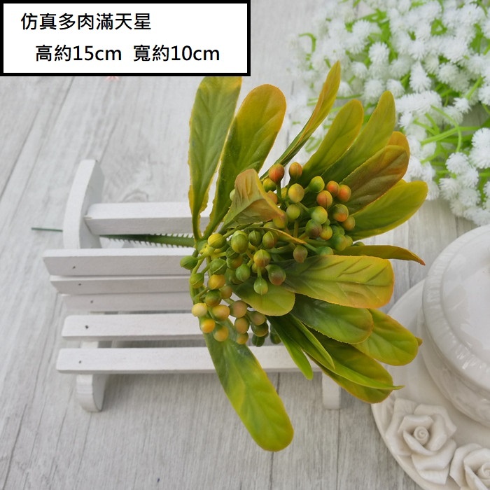 多肉滿天星(黃綠)