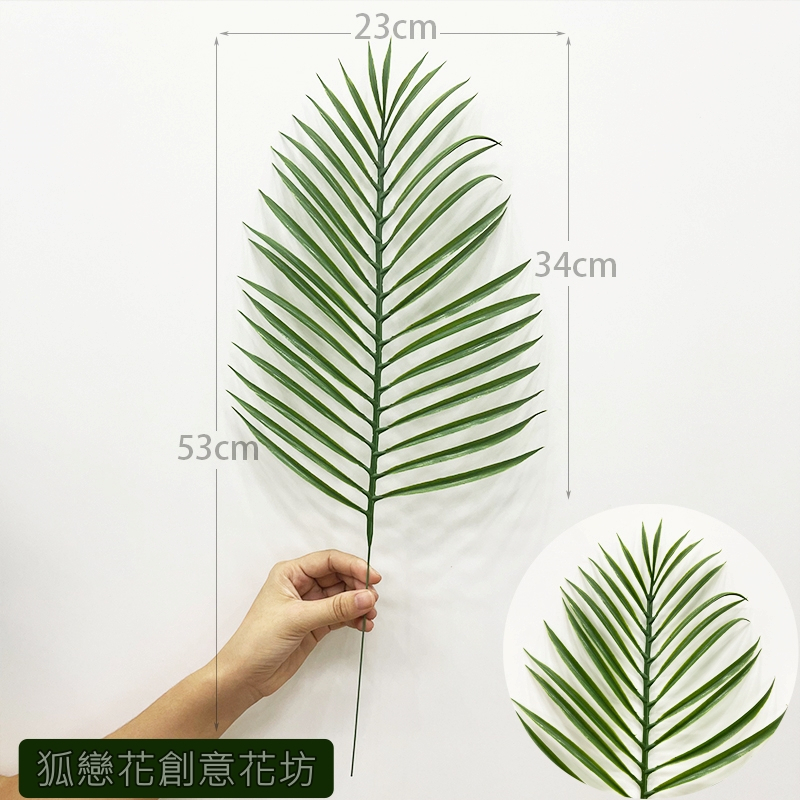 台灣現貨【各款仿真植物葉材】仿真植物葉材, 仿真葉材, 龜背葉, 黃金葛, 尤加利葉, 仿真蕨草, 波士頓蕨, 小竹葉
