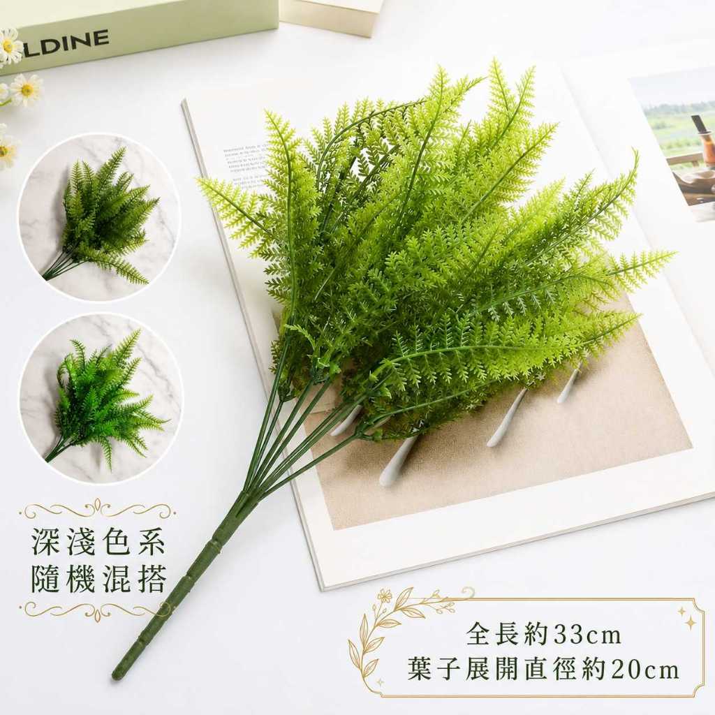 7叉小蕨草(隨機混搭)
