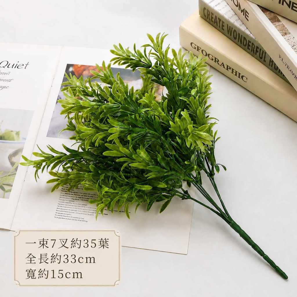 7叉紅豆杉/羅漢松
