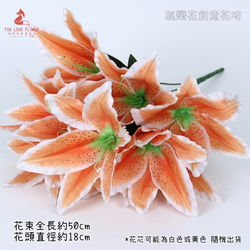 香檳橘,價錢為1束的價格