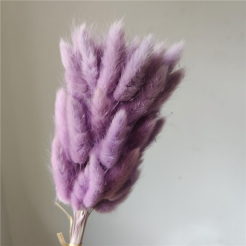 芋紫,1 支