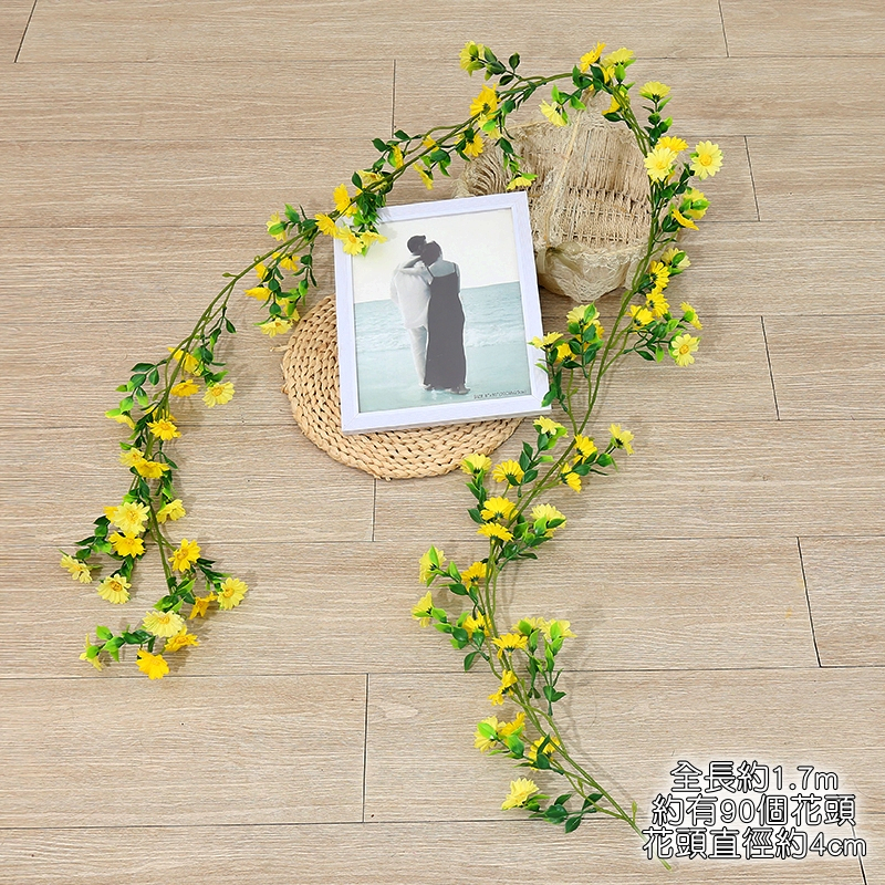小雛菊藤蔓❰黃❱