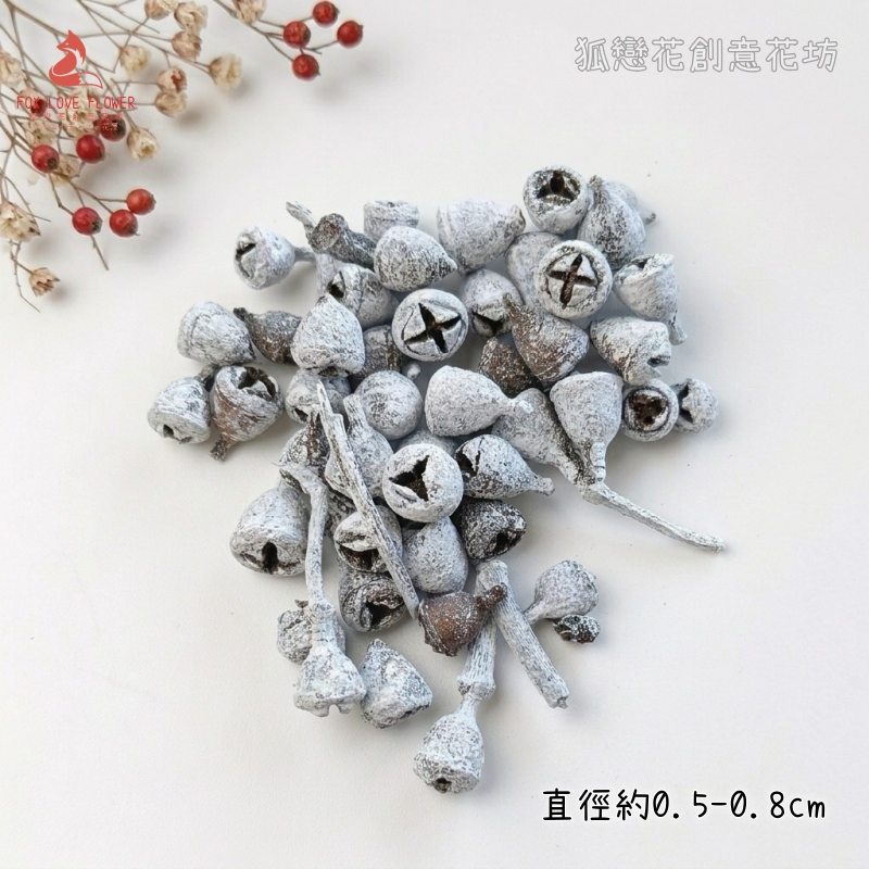 ❰雪色❱小琥珀果(1份20顆)