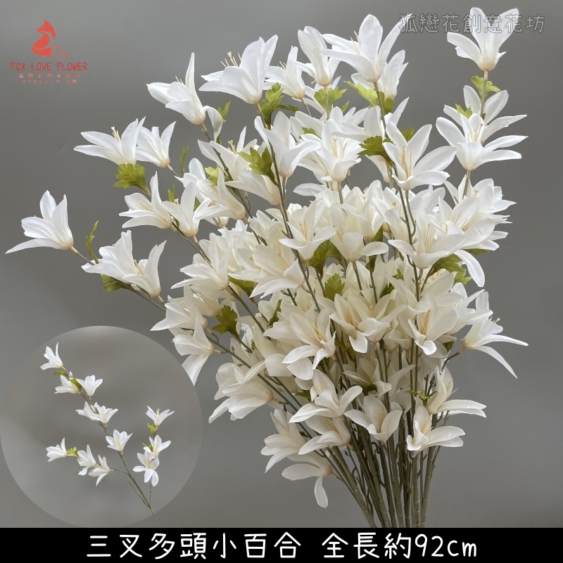 白色3叉線條百合
