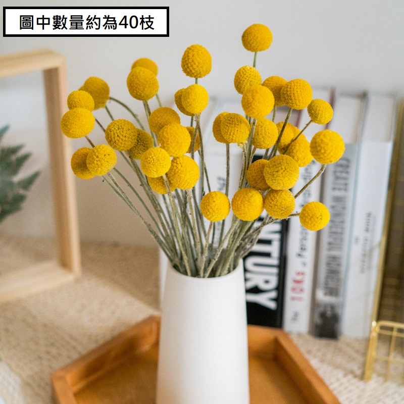 ❰原色❱帶桿金杖球5枝,🦊~賣場商品眾多，歡迎參觀選購~🦊