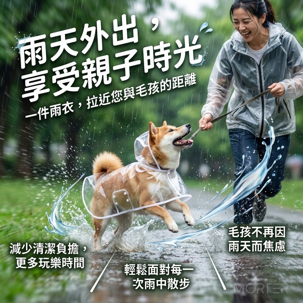 縮圖 7
