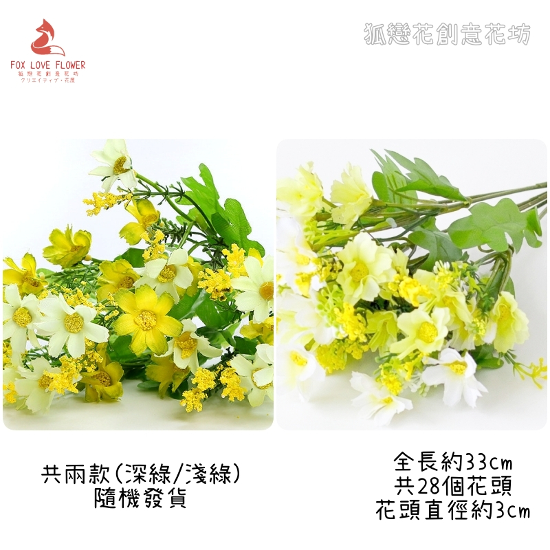 28頭小雛菊(白/綠)