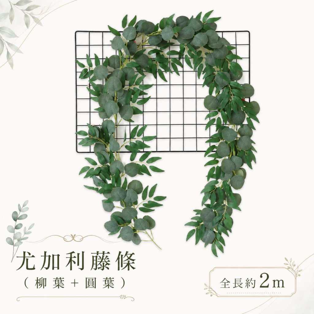 台灣現貨【仿真尤加利藤蔓】180~200cm仿真尤加利藤蔓, 尤加利花藤, 180cm藤蔓, 200cm藤蔓, 圓葉尤加