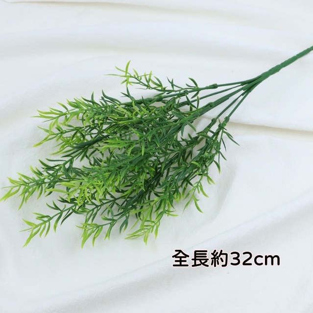 7叉千層金/澳洲茶樹
