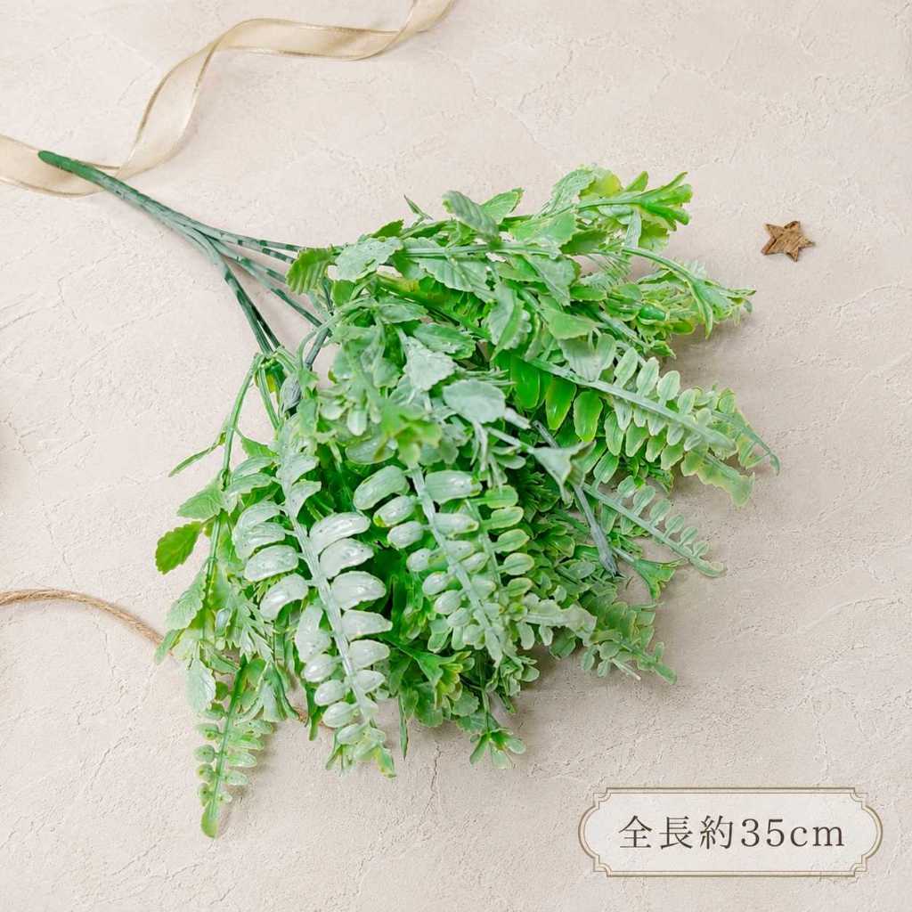7叉配草(白綠)