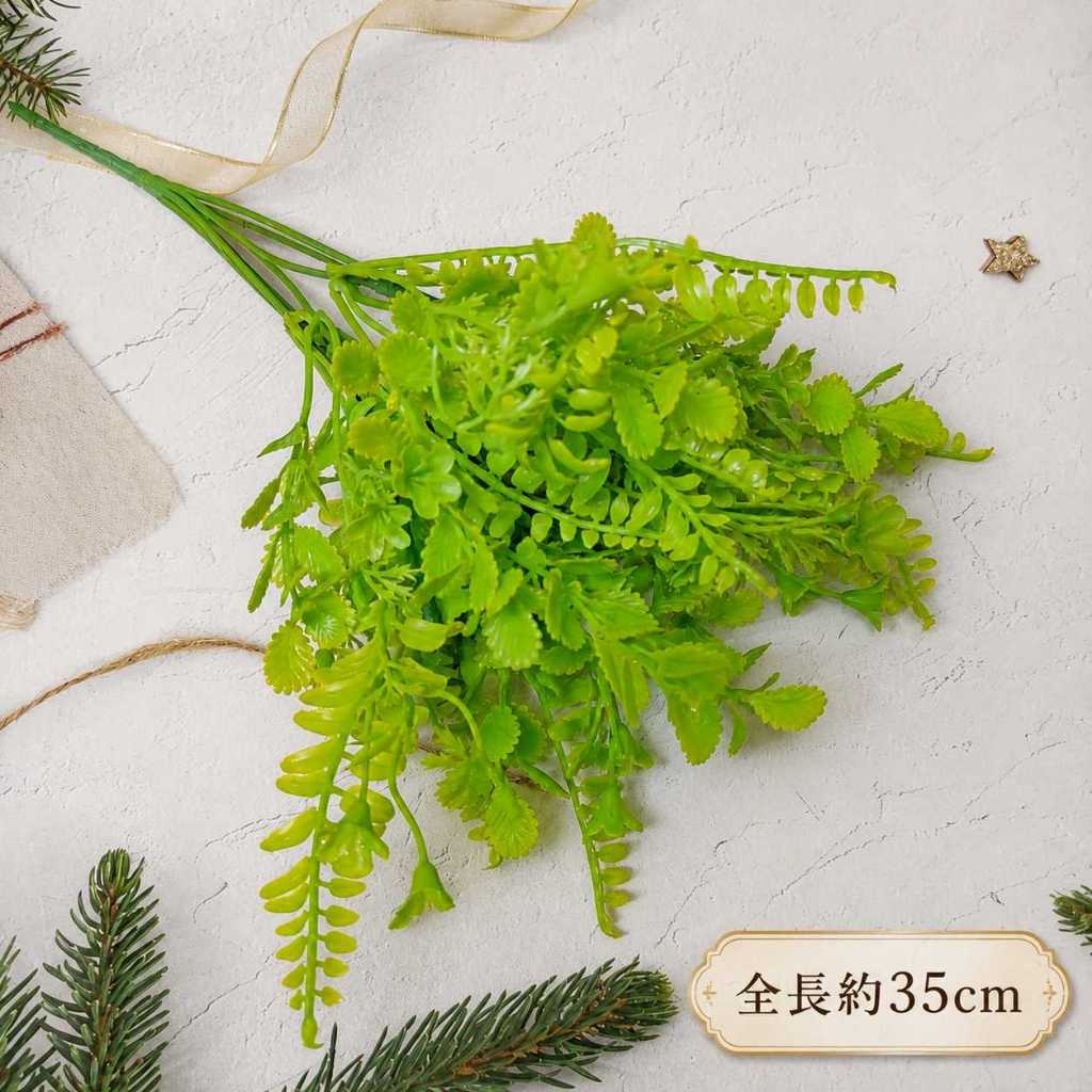 7叉配草(綠)