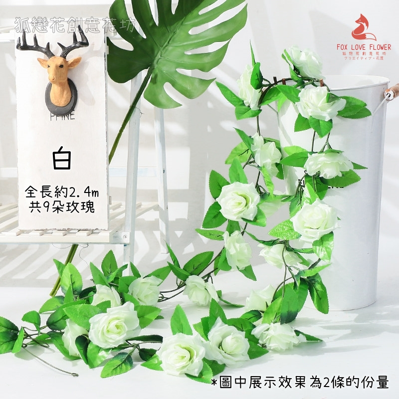 9頭玫瑰❰白❱