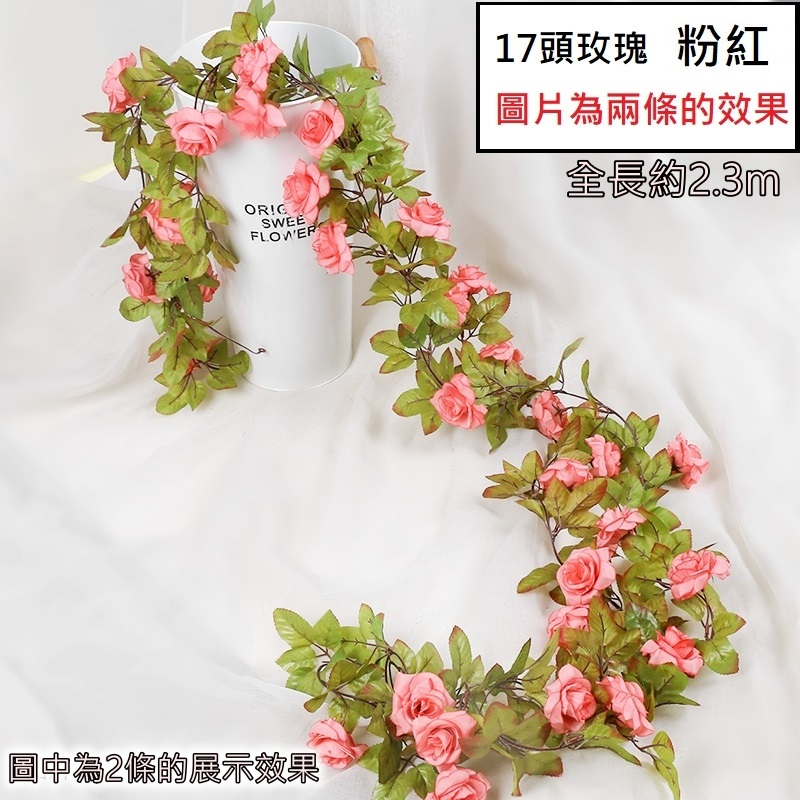 17頭玫瑰❰粉❱