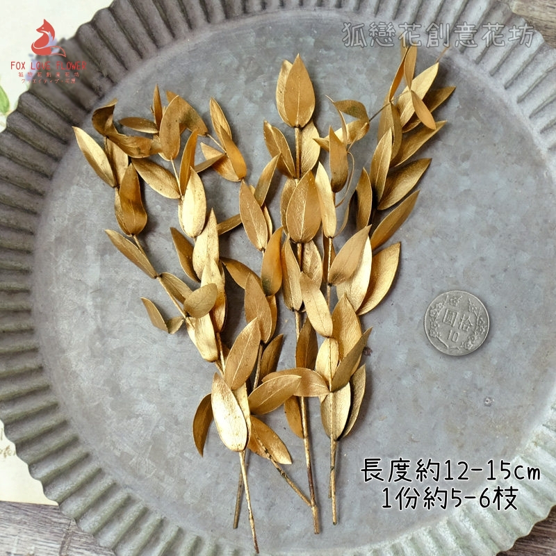❰金色❱尖葉尤加利(小葉桉)1份