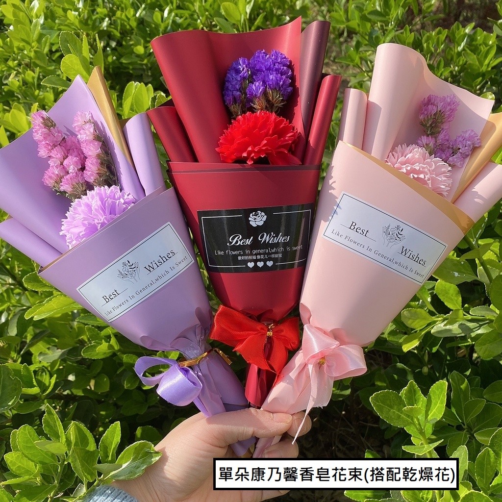 康乃馨(乾燥花款),女生色系