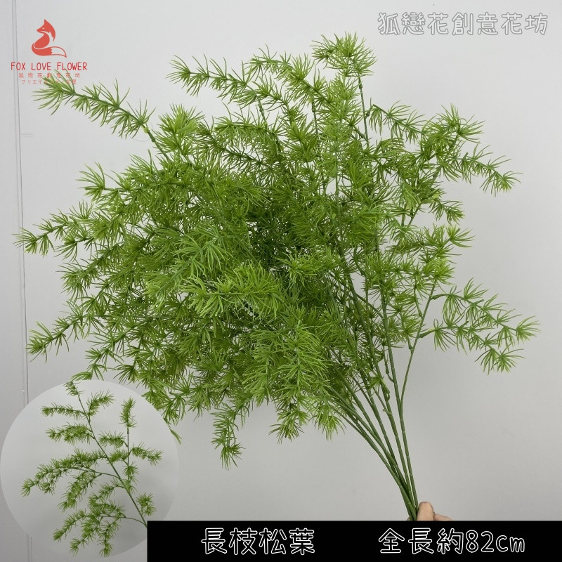 綠色長枝松葉