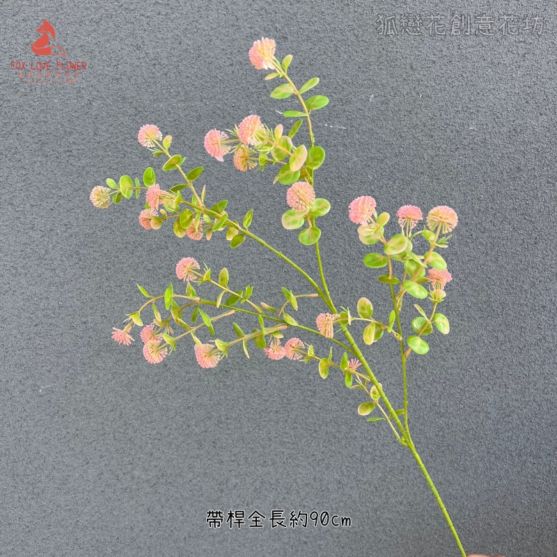 開花尤加利(粉綠)