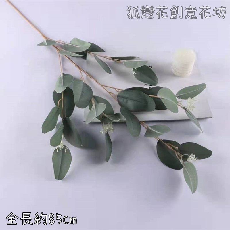 綠色長枝尤加利
