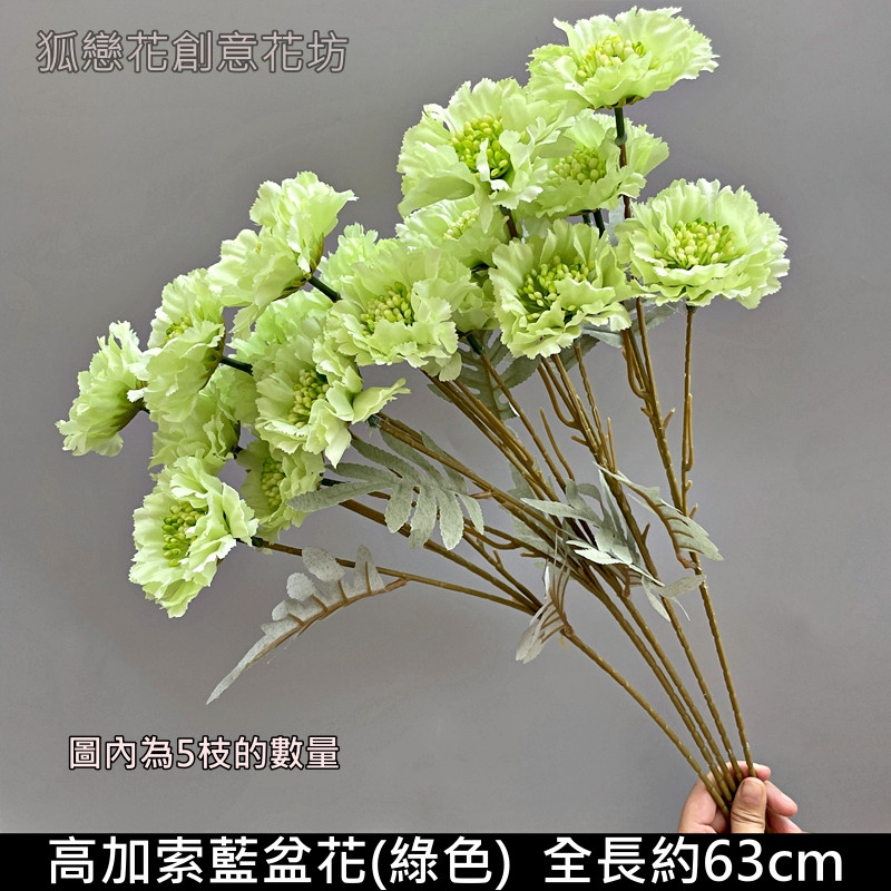 綠色高加索藍盆花
