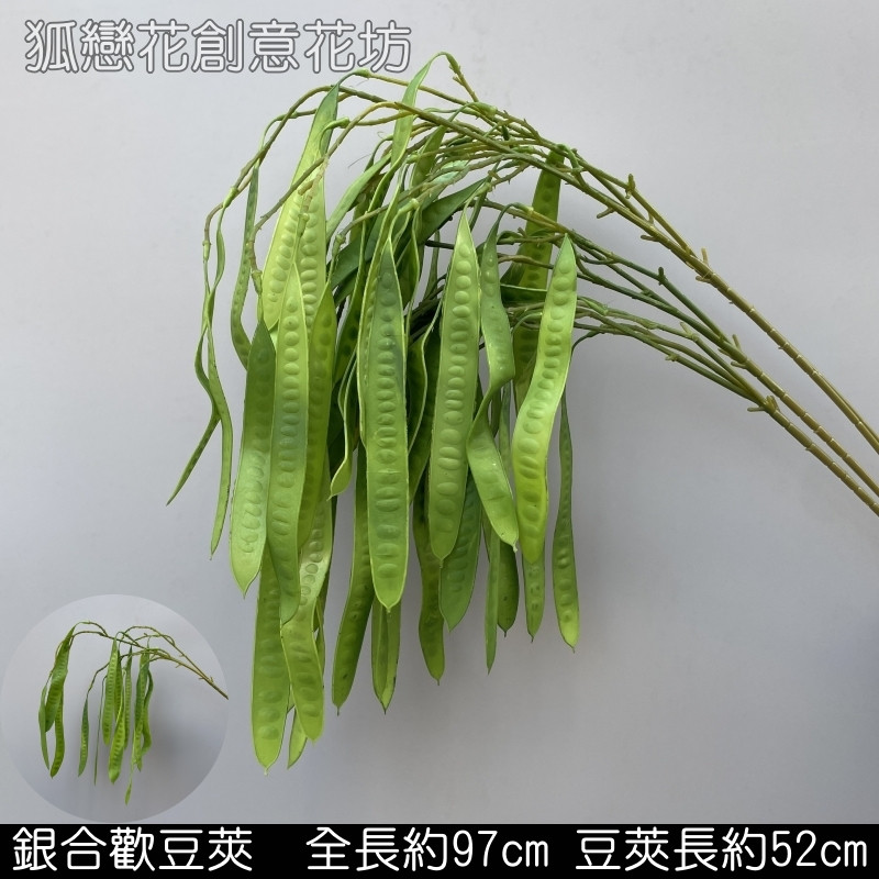 綠色銀合歡豆莢