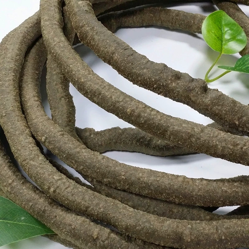台灣現貨【花藝葉材枝條】榕樹葉金色葉材無葉枝條束帶 插花支撐造型結構 商業陳列婚禮節慶佈置 多規格 聖誕佈置 花藝材料