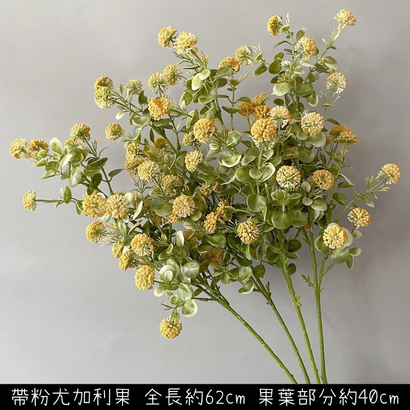 帶粉尤加利果(橘綠)