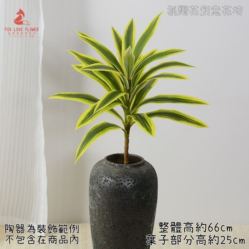 單枝大百合竹(黃綠)