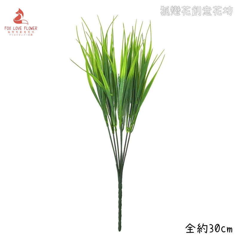 7叉麥芽