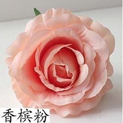 【香檳粉】12cm大玫瑰4朵