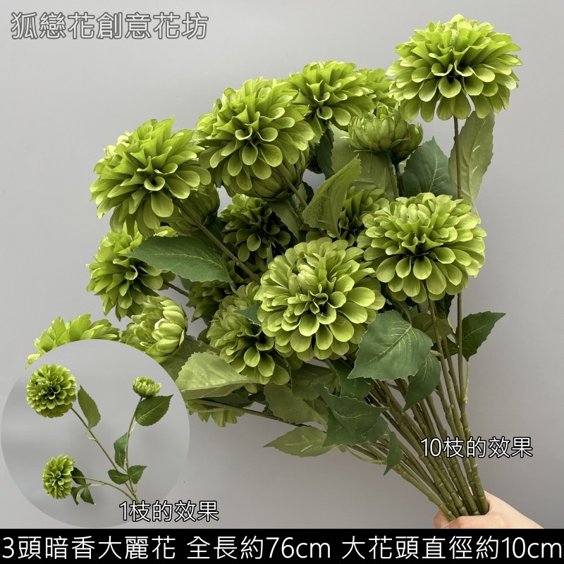 綠色3頭暗香大麗花