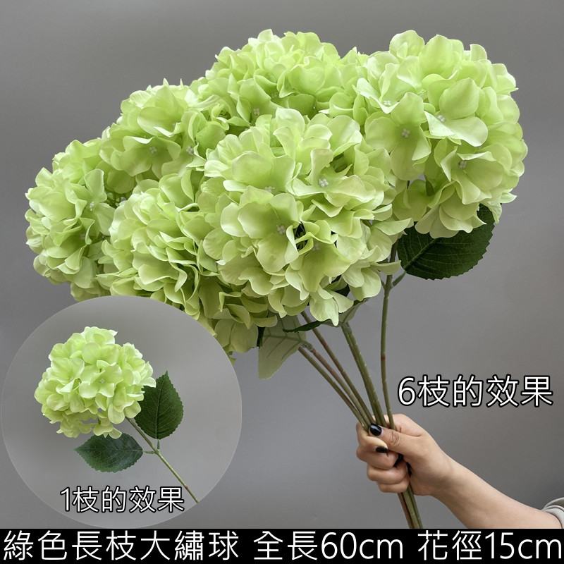 綠色長枝大繡球