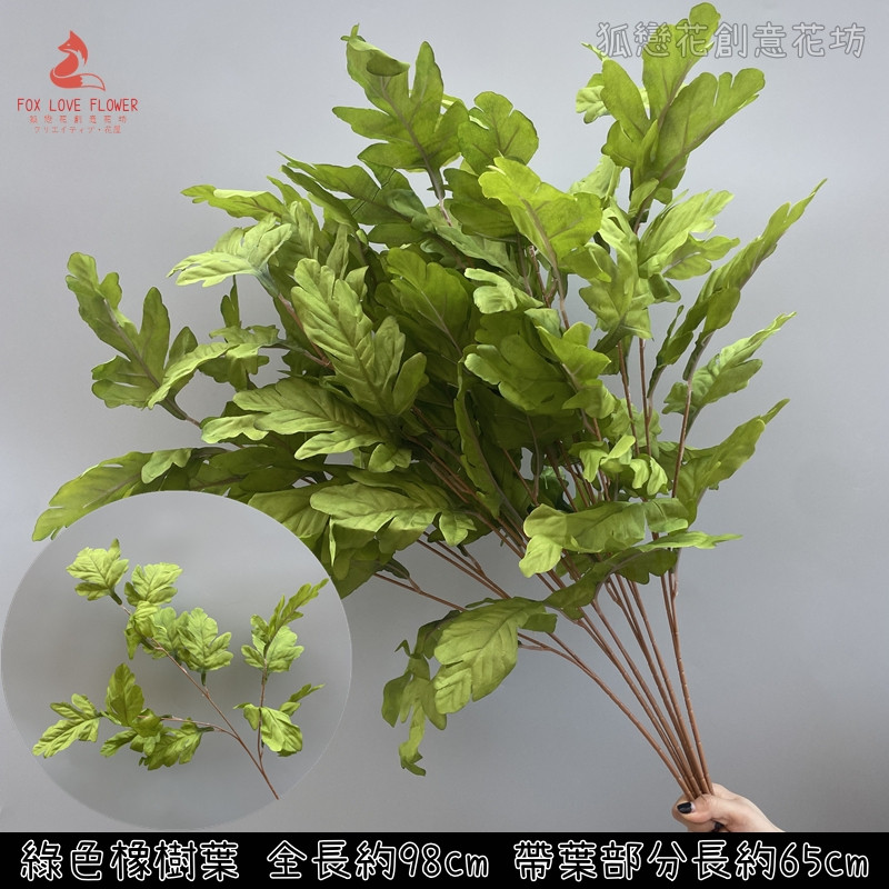 綠色橡樹葉/貝殼葉