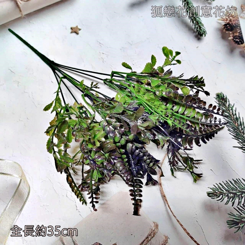 7叉配草(紫)