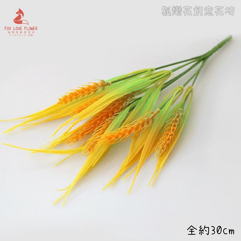 7叉麥穗
