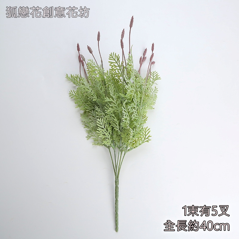蕨葉薰衣草(紅)