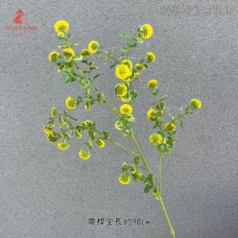 開花尤加利(黃綠)