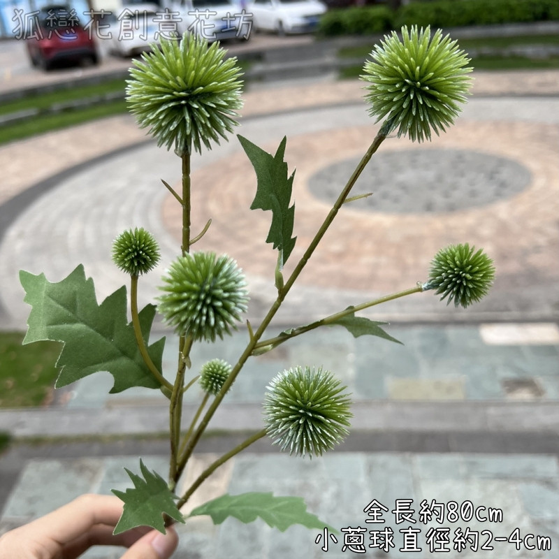 綠色7叉山防風