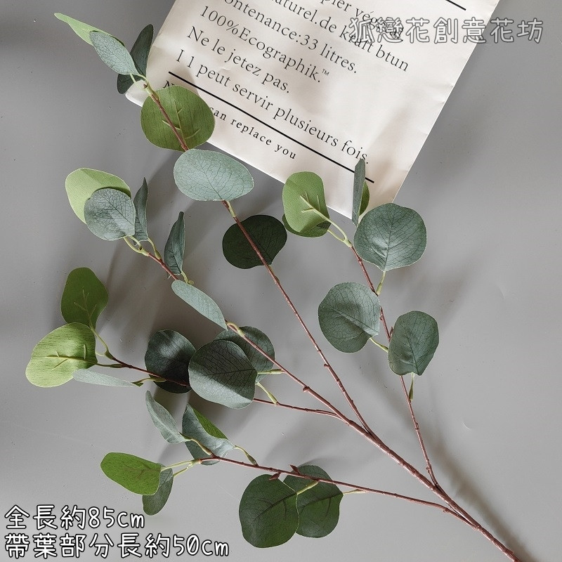 綠色長枝尤加利蘋果葉