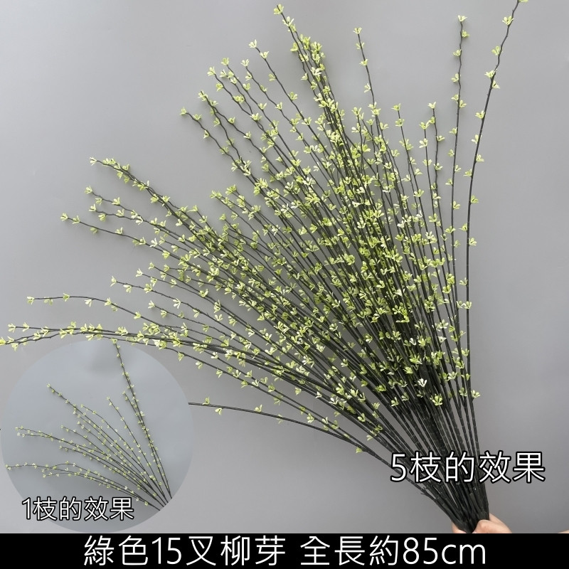綠色分叉綠色柳芽