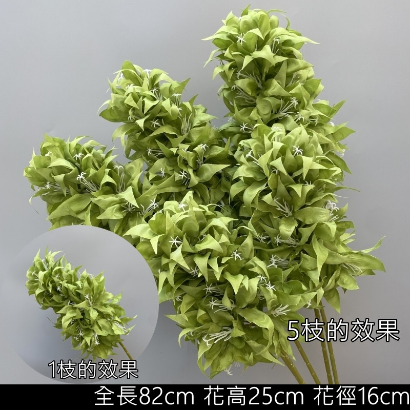綠色波蘿花