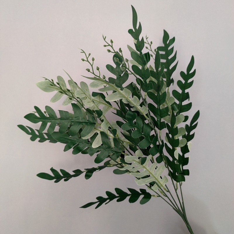 綠色槐葉