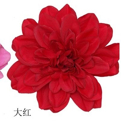 【富貴大紅】12cm大麗花4朵