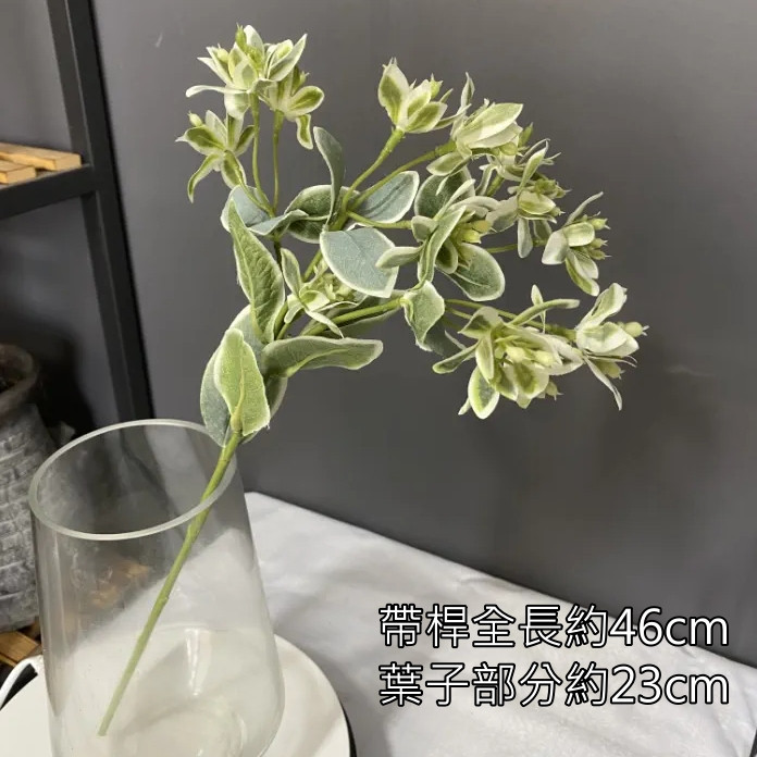 高山積雪